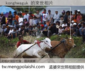 konghwaguk 來世的未來相片