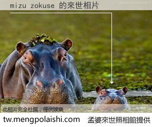 mizu zokuse 來世的未來相片