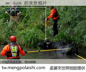 mr duck 來世的未來相片