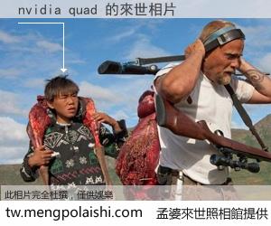 nvidia quad 來世的未來相片