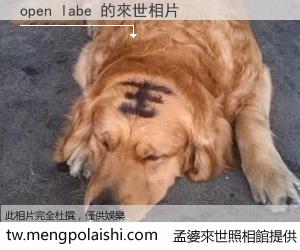 open labe 來世的未來相片