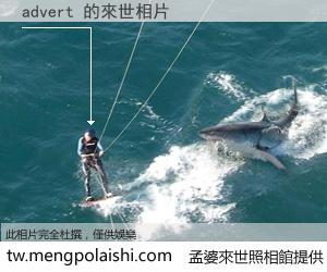 advert 來世的未來相片