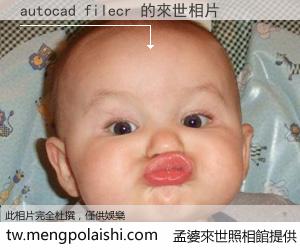 autocad filecr 來世的未來相片