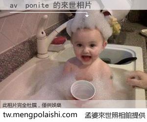 av  ponite 來世的未來相片