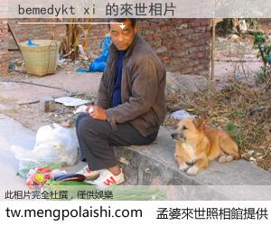 bemedykt xi 來世的未來相片