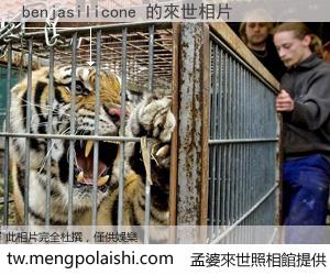 benjasilicone 來世的未來相片