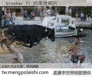 brooker fl 來世的未來相片