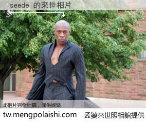 seede 來世的未來相片