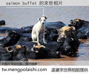salmon buffet 來世的未來相片