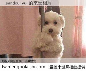 sandou.yu 來世的未來相片