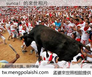 suncal 來世的未來相片