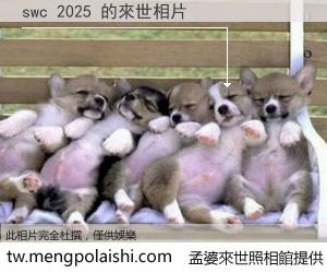 swc 2025 來世的未來相片