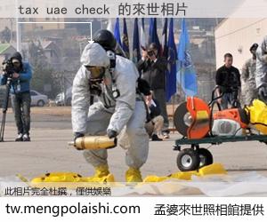 tax uae check 來世的未來相片