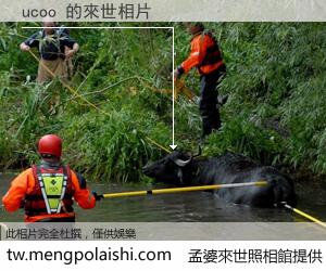 ucoo 來世的未來相片