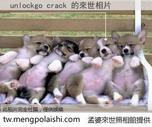 unlockgo crack 來世的未來相片