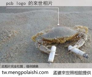 pcb logo 來世的未來相片