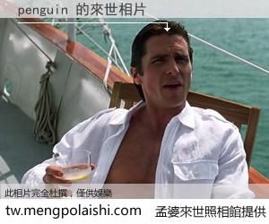 penguin 來世的未來相片