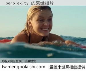 perplexity 來世的未來相片