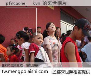 pfncache   kvm 來世的未來相片