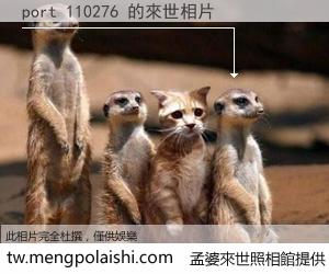 port 110276 來世的未來相片