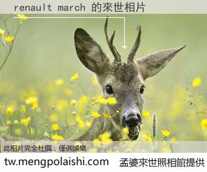 renault march 來世的未來相片