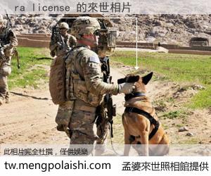 ra license 來世的未來相片