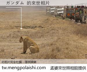 ガンダム 來世的未來相片