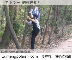 アトラー 來世的未來相片