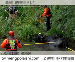 俞婷 來世的未來相片