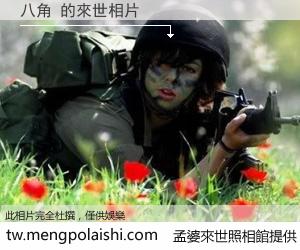 八角 來世的未來相片