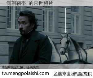 側副靭帯 來世的未來相片