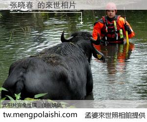 张晓春 來世的未來相片