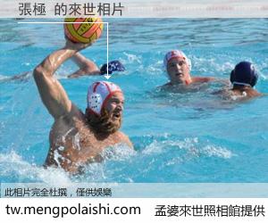 張極 來世的未來相片