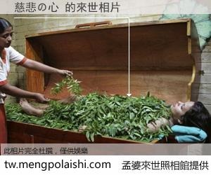 慈悲の心 來世的未來相片