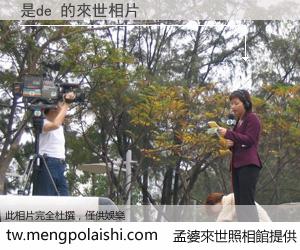 是de 來世的未來相片