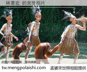 林書宏 來世的未來相片