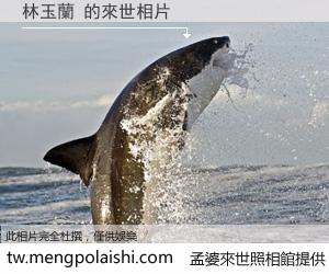 林玉蘭 來世的未來相片