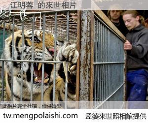 江明蓉 來世的未來相片