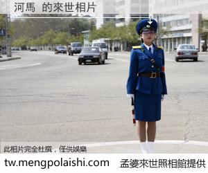 河馬 來世的未來相片