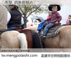 牛琴 來世的未來相片