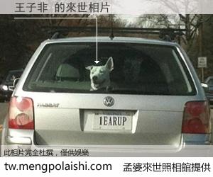 王子非 來世的未來相片