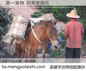 第一貨物 來世的未來相片