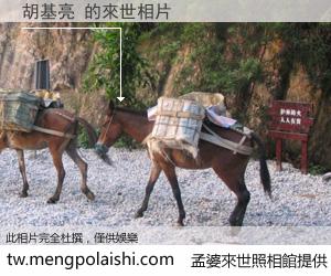 胡基亮 來世的未來相片