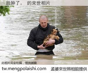 脸肿了。 來世的未來相片