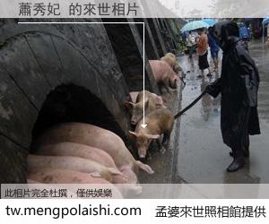 蕭秀妃 來世的未來相片