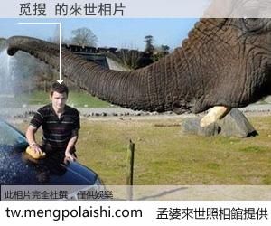 觅搜 來世的未來相片