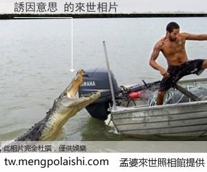 誘因意思 來世的未來相片