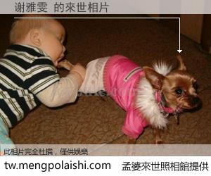 谢雅雯 來世的未來相片