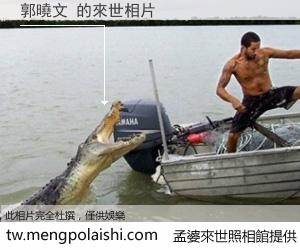 郭曉文 來世的未來相片