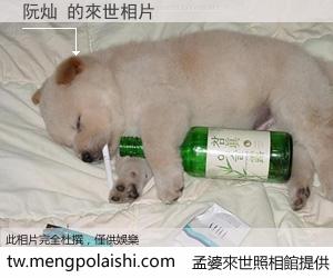 阮灿 來世的未來相片